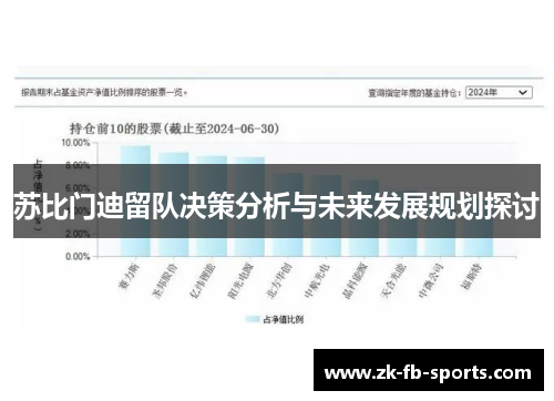 苏比门迪留队决策分析与未来发展规划探讨