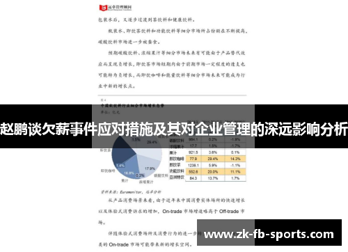 赵鹏谈欠薪事件应对措施及其对企业管理的深远影响分析